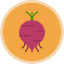 beet-root-raw-vegetable-vegetarian-ingredient-gardening-icon