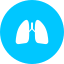 lungs-organ-body-organ-body-sustem-healthcare-doctor-medical-healthy-icon