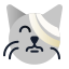 bandage-cat-pet-vet-veterinary-icon
