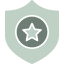 shield-protection-defense-security-honor-emblem-badge-symbol-coat-of-arms-defense-mechanism-armor-icon-icon