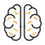neuroscience-icon