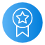 medal-web-app-certify-ribbon-prize-icon