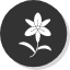 bloom-blossom-flower-flowering-plants-lilium-lily-floral-icon