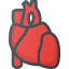 heartorgan-health-anatomy-medical-icon