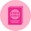 document-id-identification-official-passport-travel-icon