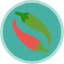 pepper-spice-chili-organic-vegetable-hot-spicy-icon