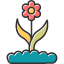 flower-buds-floral-nature-plant-garden-pot-iconsakura-festival-icon