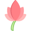 bloom-blossom-flower-harmony-lotus-yoga-sign-symbol-illustration-icon