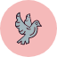 bird-dove-invitation-love-pigeon-wedding-icon