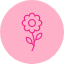 bloom-blossom-floral-flower-fresh-season-spring-icon