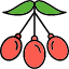 wolfberry-goji-berry-food-fresh-icon