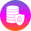 data-security-compliance-document-policy-privacy-icon
