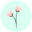 flower-flowers-colors-colorfulflower-icon