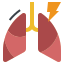 pneumonia-lung-inflamation-bronchitis-influenza-icon
