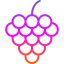 berry-bio-food-fruit-raspberry-vegan-fruits-and-vegetables-icon