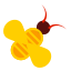 insect-bee-animal-autumn-icon