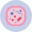 cell-biologycell-cells-plant-icon-icon