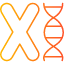 chromosomebiology-chromosome-dna-genetics-genome-science-icon-icon