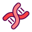genetics-dna-chain-helix-strand-icon