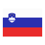 slovenia-country-flag-nation-country-flag-icon