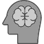 brain-brainstorm-creativity-genius-human-memory-psychology-icon