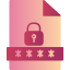 file-password-data-protection-document-paper-security-icon