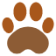 paw-dog-cat-travel-animal-icon