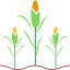 plant-seed-icon