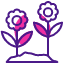 seeds-flower-icon