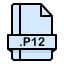 p-file-format-extension-document-icon