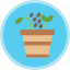 seeding-icon