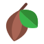 cacao-fruit-cacao-chocolate-fruit-icon