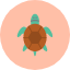 amphibian-animal-domestic-pet-sea-turtle-icon