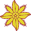 starflower-borage-floral-flower-nature-plant-flowers-icon