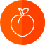 peach-food-fruit-vegan-vegetarian-fresh-healthy-icon
