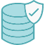 data-database-protection-safety-secure-security-server-icon
