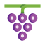 grapes-bunch-of-grapes-grape-organic-food-fresh-gastronomy-icon