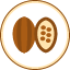 cocoa-beans-superfood-natural-vitamin-ginger-avocado-icon