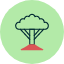 ecology-forest-nature-tree-socotra-icon