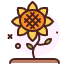 sunflower-tourism-culture-nation-icon