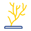colony-coral-invertebrate-marine-polyp-reef-staghorn-icon