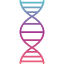 biology-chromosome-dna-genetics-genome-science-icon
