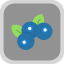 blueberry-bilberry-swamp-retro-vintage-drawn-fruits-and-vegetables-icon