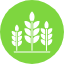 agriculture-crop-farm-grain-harvest-wheat-back-garden-icon