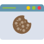 web-cookies-data-security-protection-technology-network-privacy-cookie-browser-icon-cyber-icon