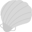 sea-seashell-shell-shellfish-icon