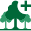 environment-flora-forest-nature-single-tree-multiple-plus-icon