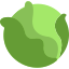 cabbage-icon