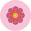hibiscus-flower-bloom-blossom-flora-nature-icon