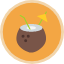 coconut-drink-hawaii-island-relaxation-tiki-vacation-icon